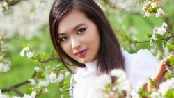 Asian Smiling Brunette Teen Girl Wallpaper #727
