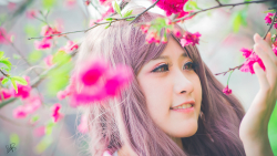 Asian Smiling Long-haired Pink Hair Teen Girl Wallpaper #5532