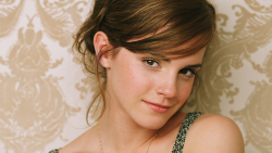 Beautiful Emma Watson English Actress Celebrity Wallpaper #024