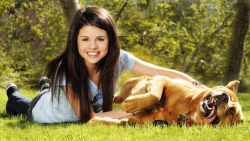 Beautiful Selena Gomez American Singer Actress Celebrity Girl Wallpaper #272
