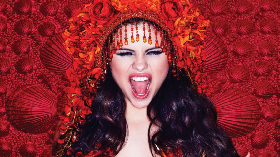 Beautiful Selena Gomez American Singer Actress Celebrity Girl Wallpaper #376